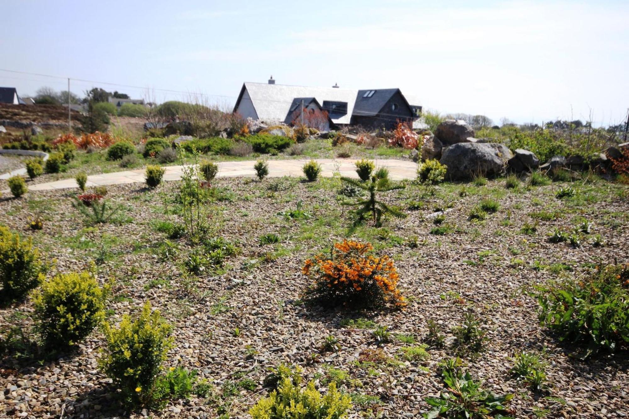 The Uplands Villa Spiddal Buitenkant foto
